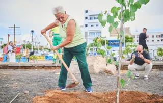 Plantación de árboles por el 25º aniversario del Festival de Cine