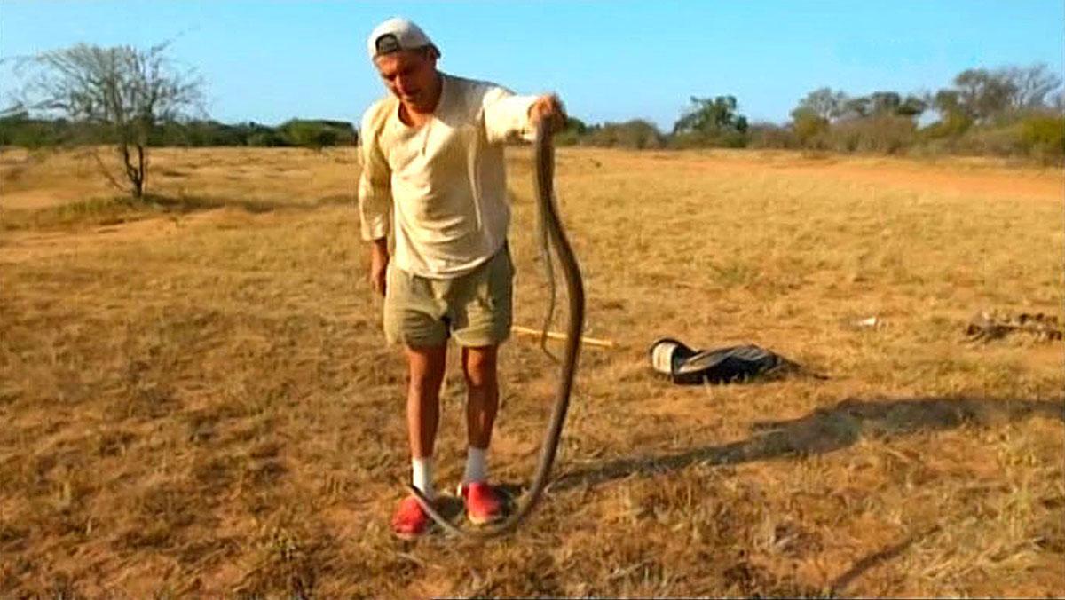 Fran Cuesta, con la mamba negra, en su programa en el canal DMax.