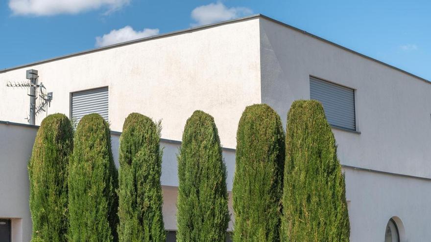 Multas para propietarios con árboles o setos que no cumplen la ley