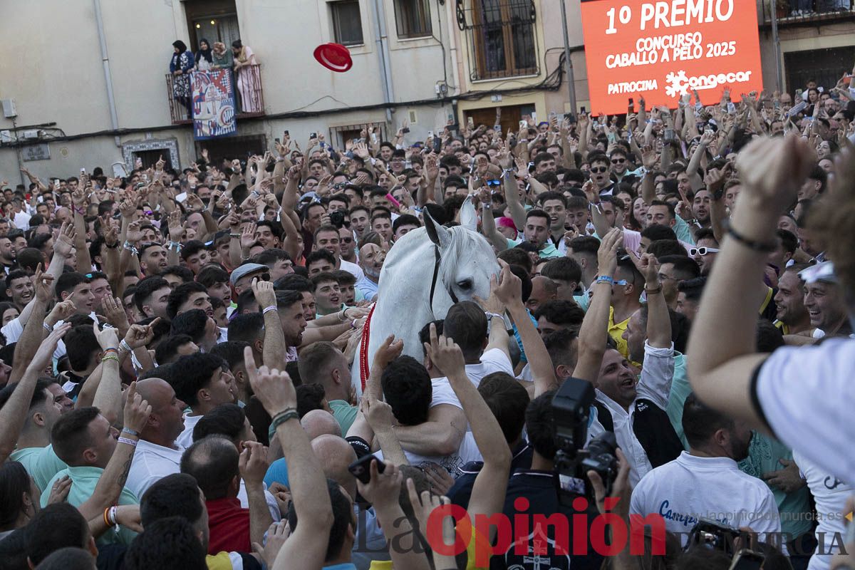 Fiestas de Caravaca | Entrega de premios del concurso morfológico