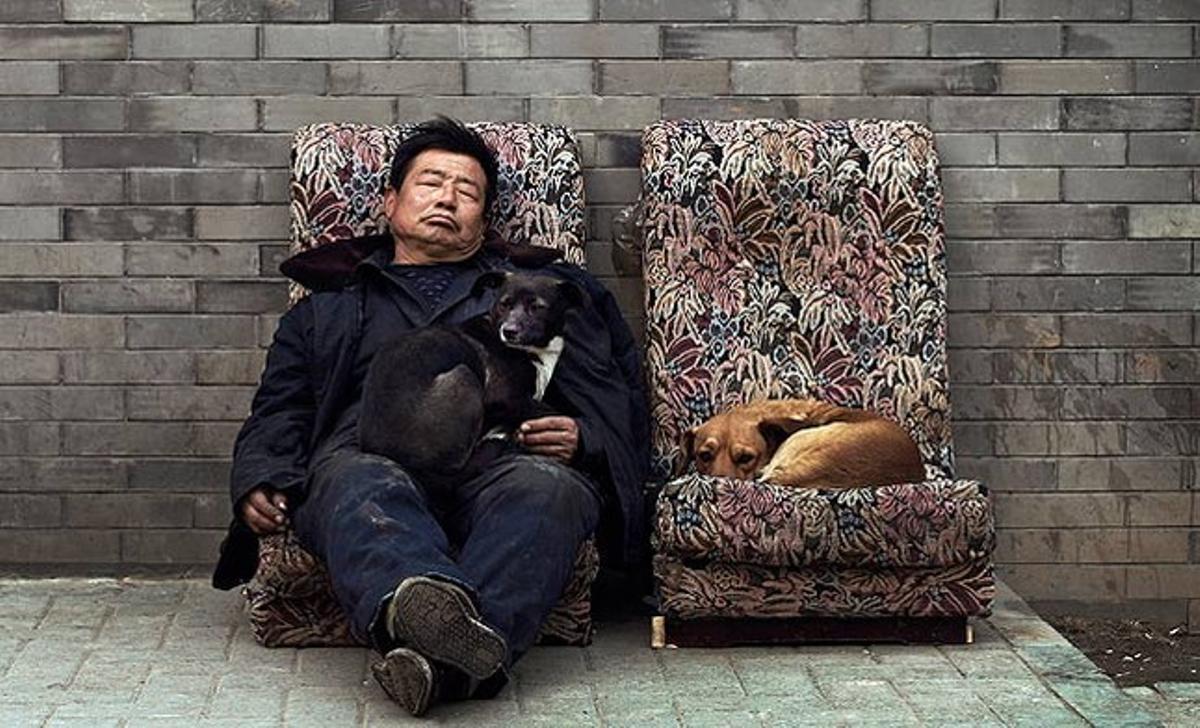 Dos gossos de carrer descansen amb un home en uns sofàs trencats a prop d’un ’hutong’ (un carreró del casc antic), a Pequín.
