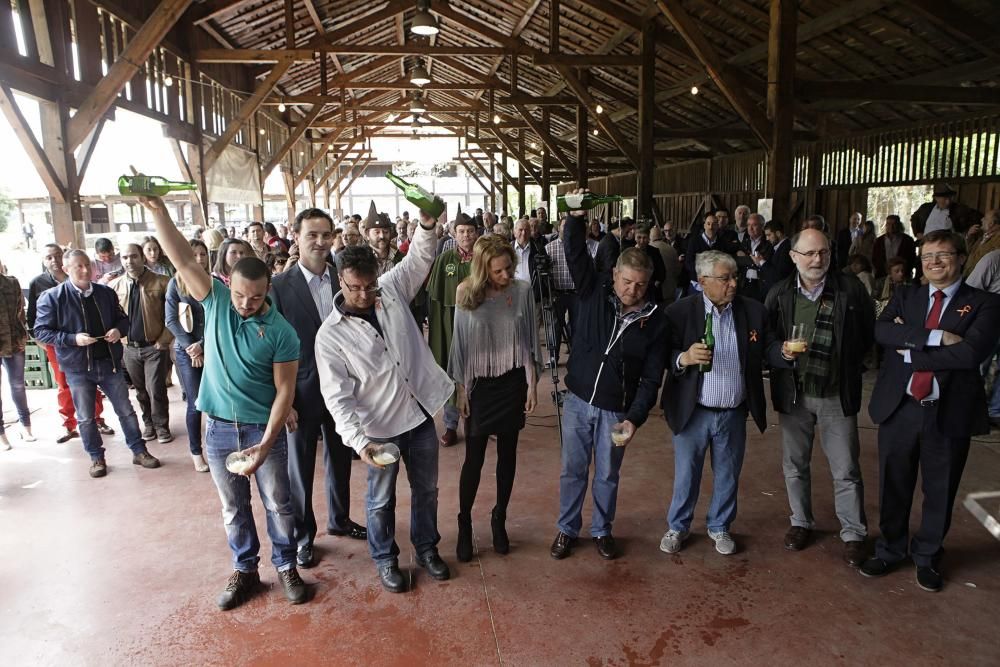 Presentación de la cosecha 2015 de sidra