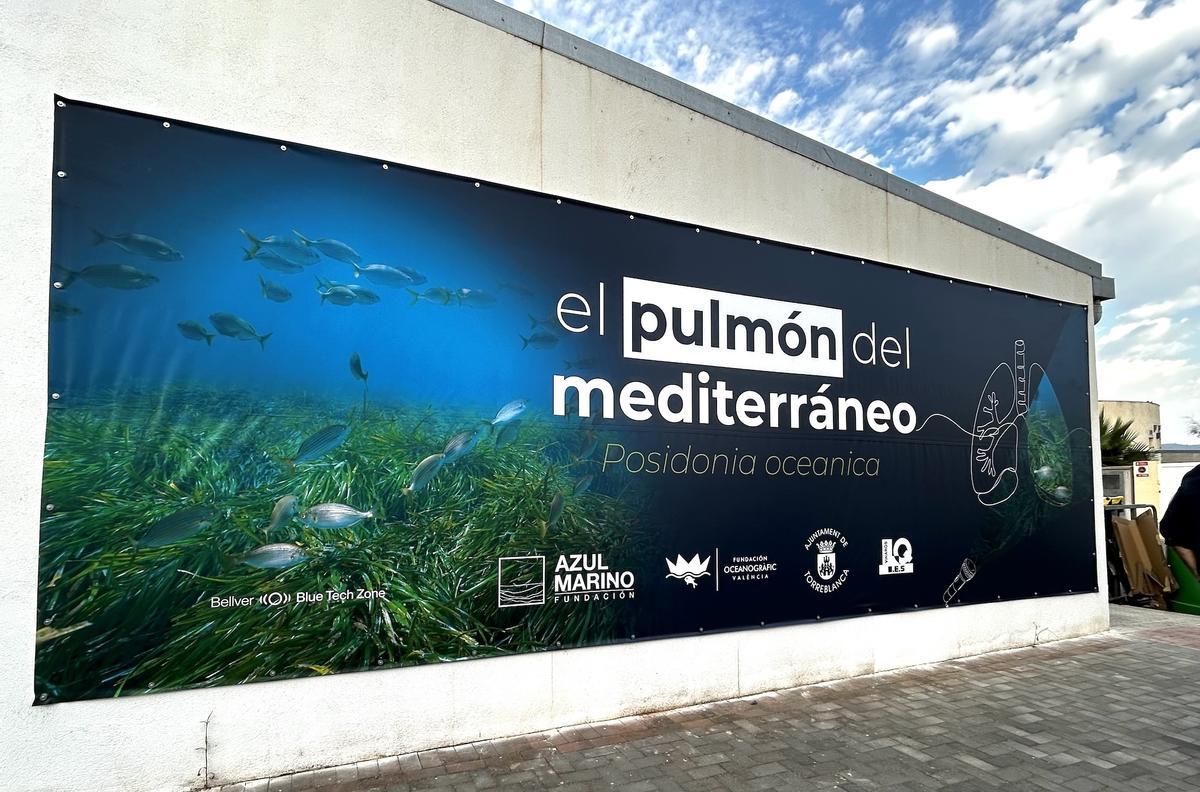 La campaña ‘El Pulmón del Mediterráneo’