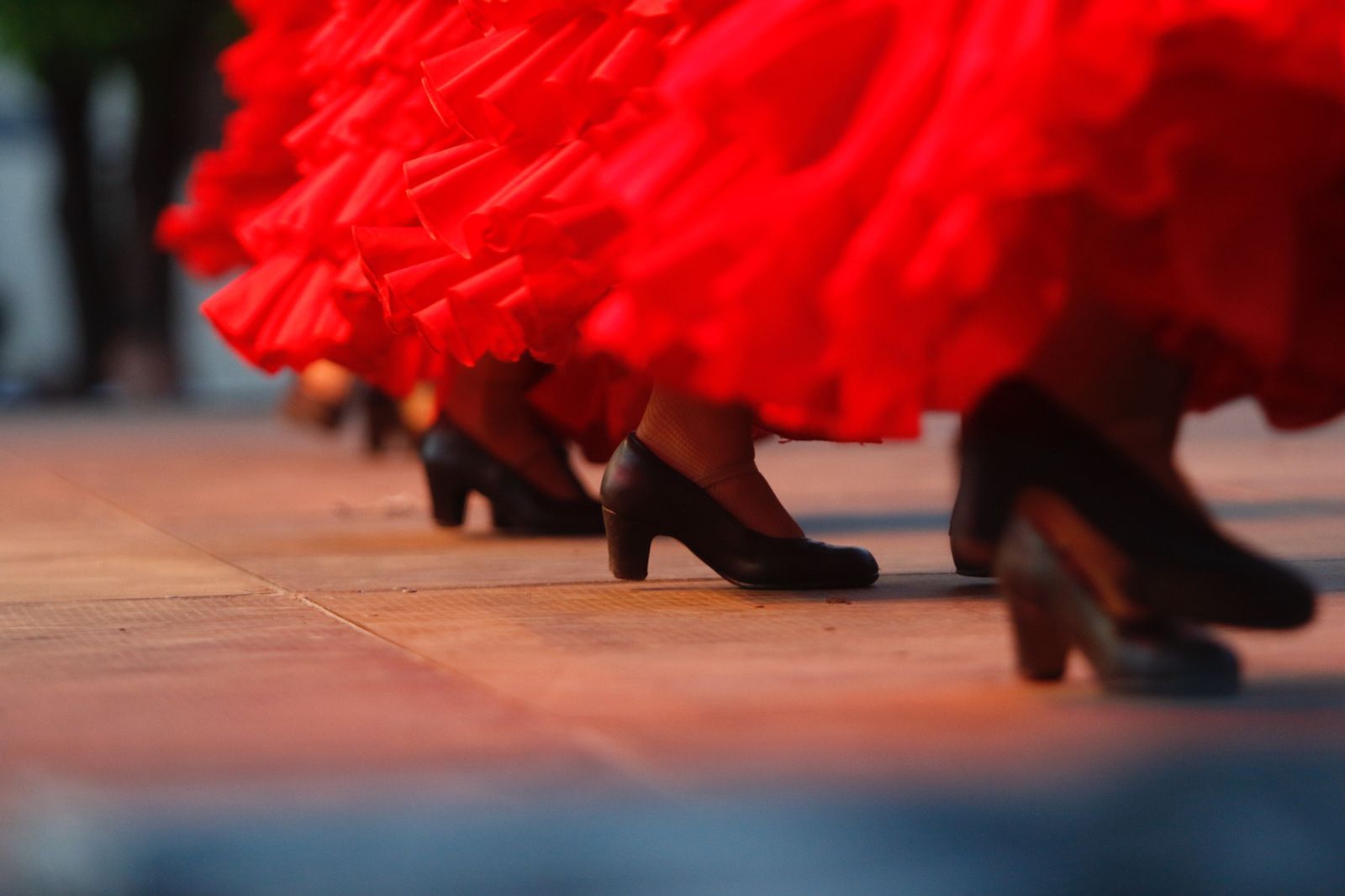 El flamenco inunda  Las Tendillas