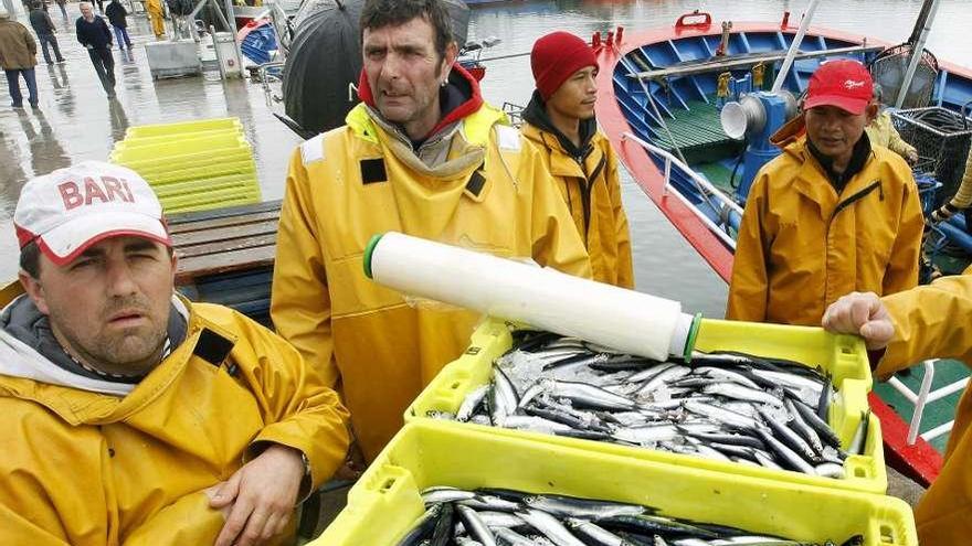 Tripulantes de un pesquero custodian cajas de anchoas recién desembarcadas en un puerto cántabro. esteban cobo