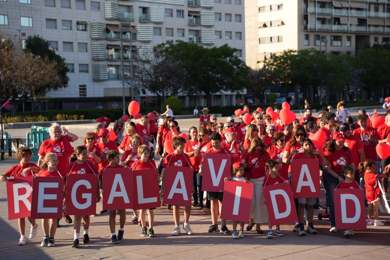 La marcha por la donación de órganos, en imágenes
