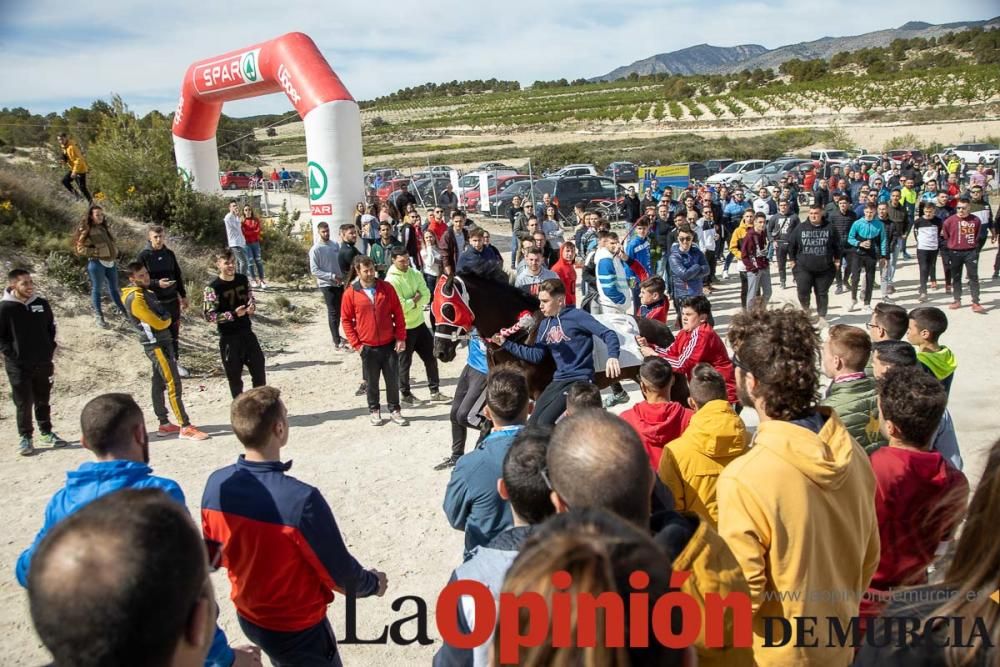 Carrera de entrenamiento de los Caballos del Vino