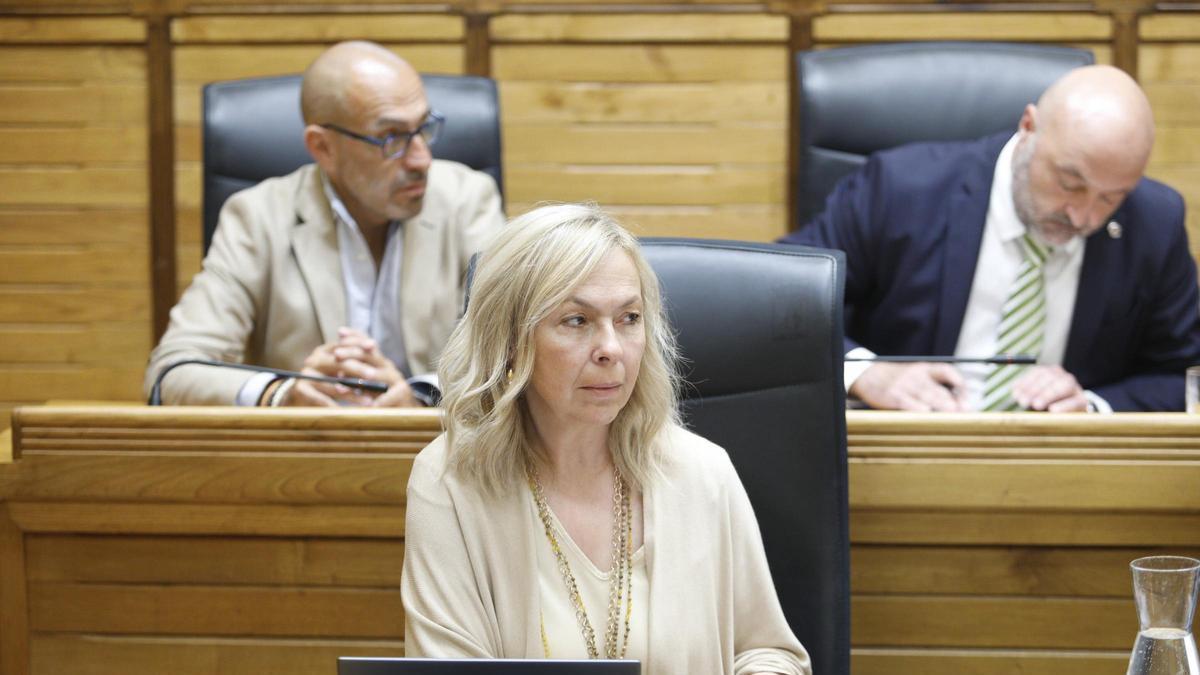 La líder de Vox en el Ayuntamiento de Gijón y diputada en la Junta, Sara Álvarez Rouco, con su excompañero Oliver Suárez detrás.