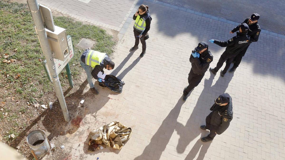 La policía científica y agentes del grupo de Homicidios en el lugar en el que fue hallada la segunda víctima.