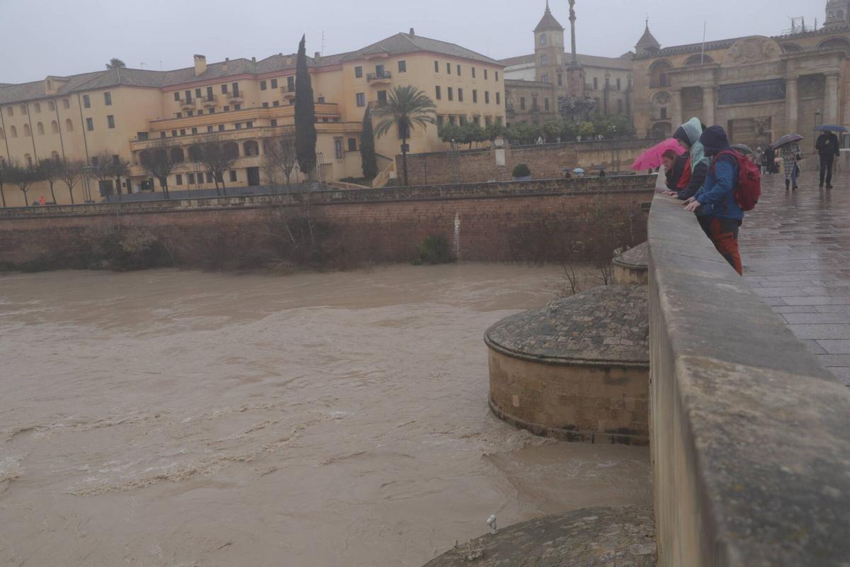 Nivel del río a su paso por Córdoba hoy.