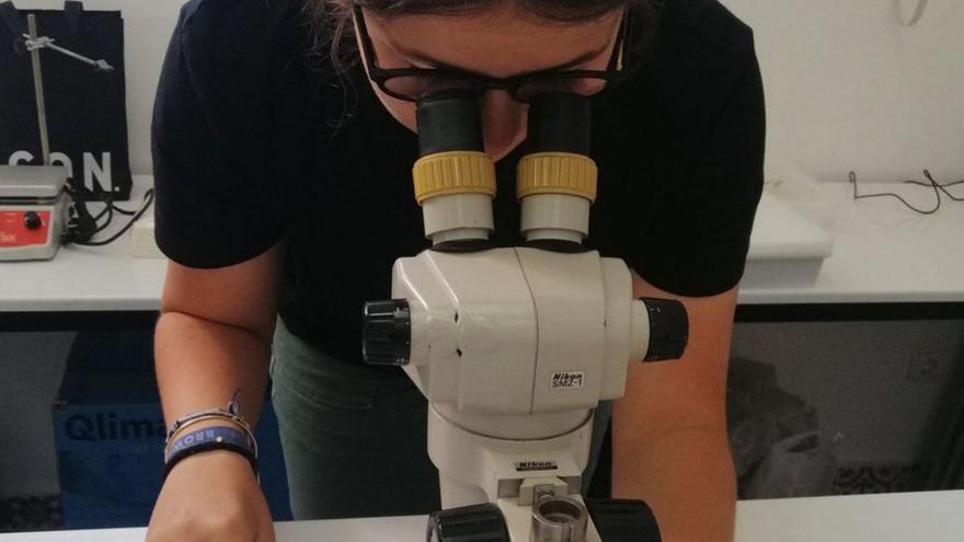 Una alumna usando un microscopio en la Universitat. | UIB