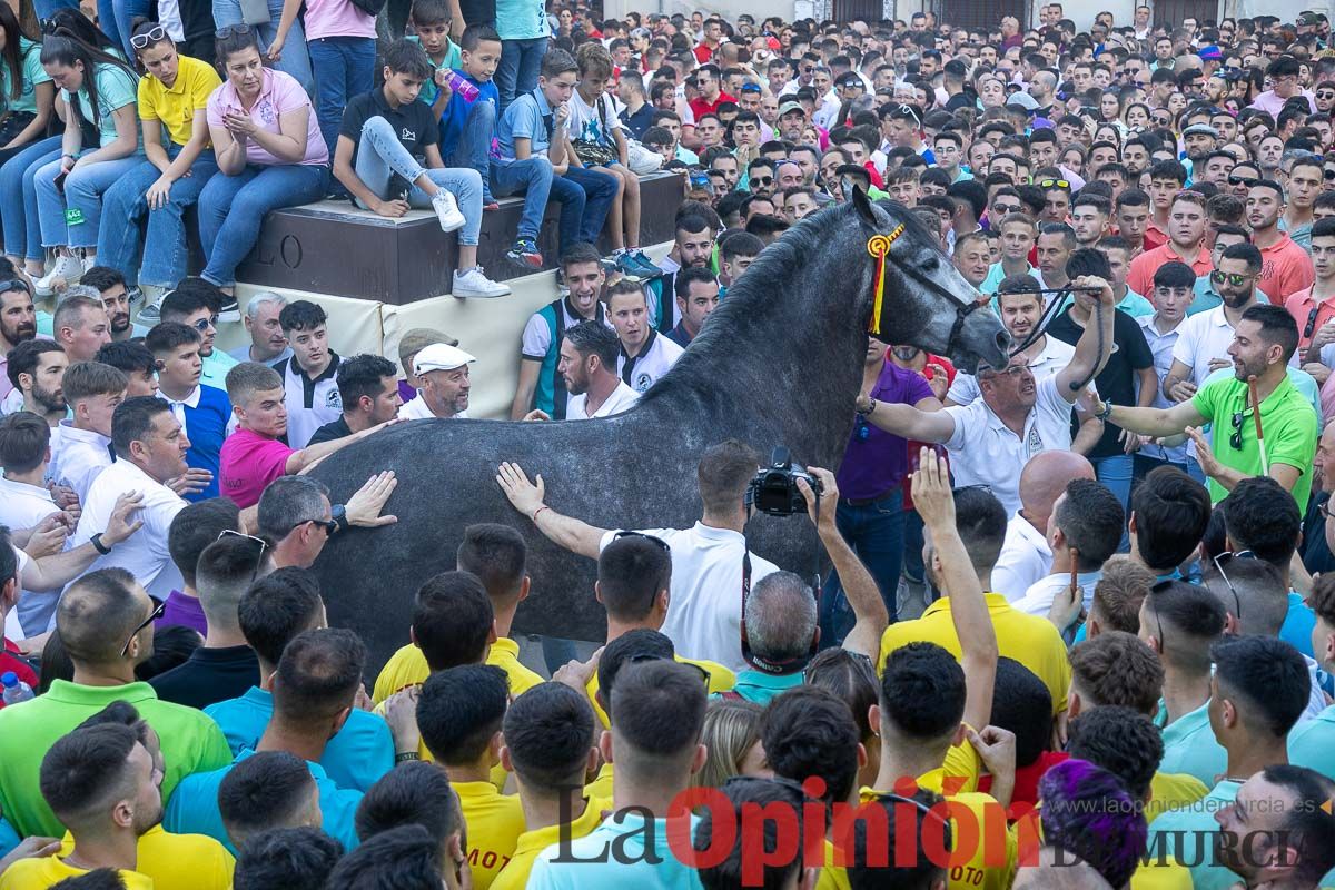 Entrega de premios del concurso morfológico de los Caballos del Vino de Caravaca