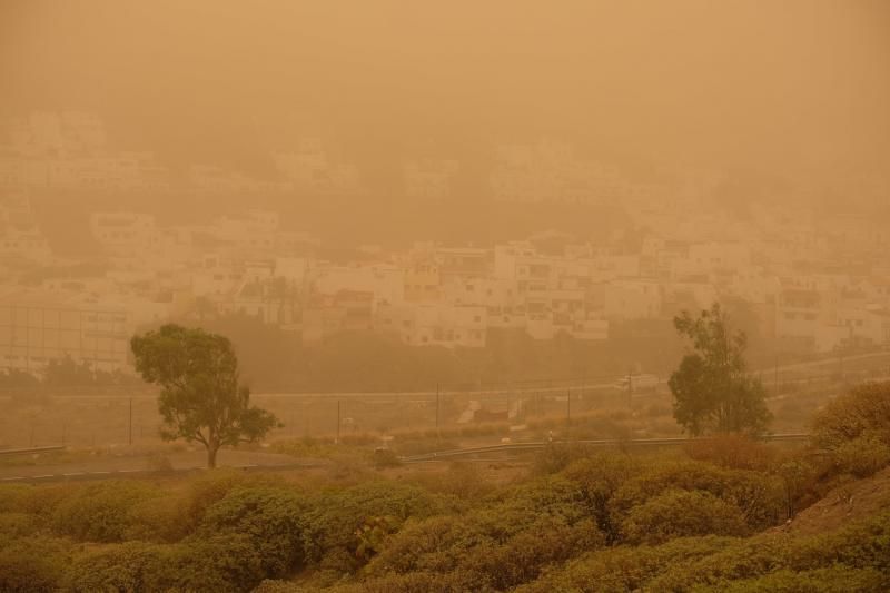 La Aldea - Agaete- Las Palmas de GC:. Incendio Tasarte y calima  | 23/02/2020 | Fotógrafo: José Carlos Guerra