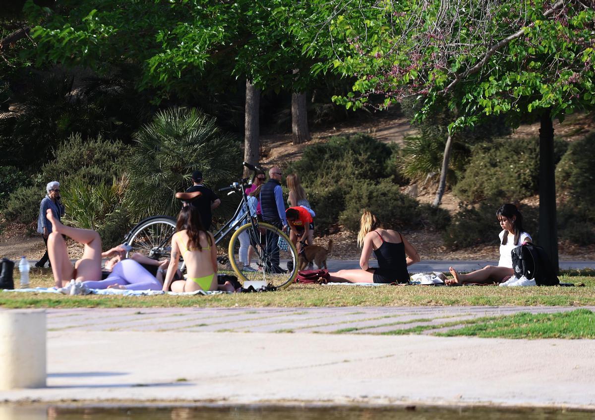 Valencia . semana de altas temperaturas en Valencia calor en el mes de Abril . Gente tomando el sol en el parque del rio
