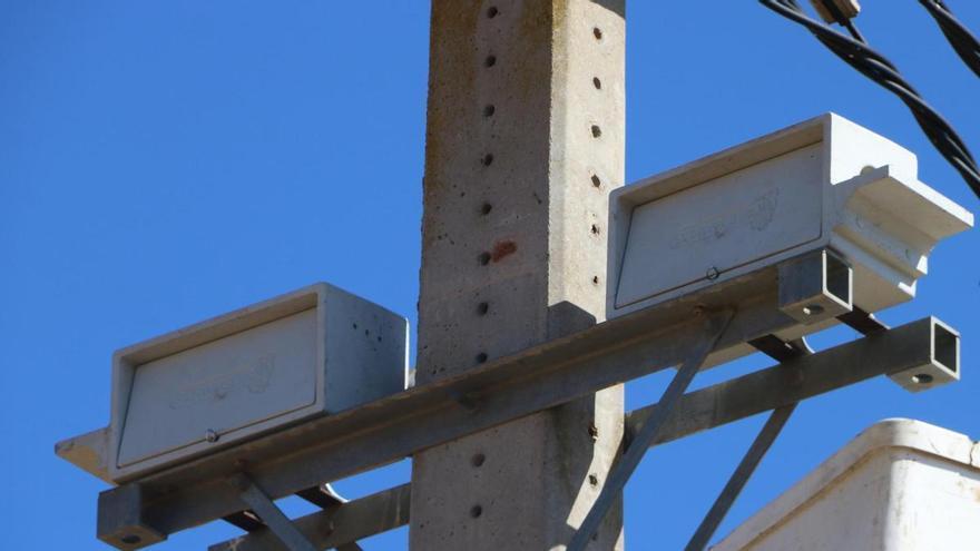 Endesa instal·la una quarantena de caixes niu a Mollet de Peralada per potenciar la reproducció del xoriguer petit
