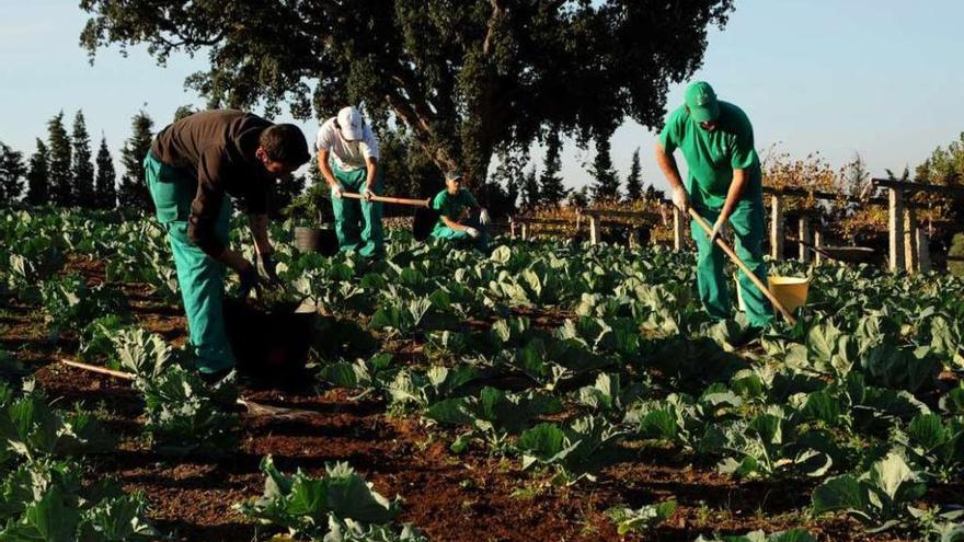 Curso de agricultura con el que se inauguraron las actividades formativas en Vista Real.