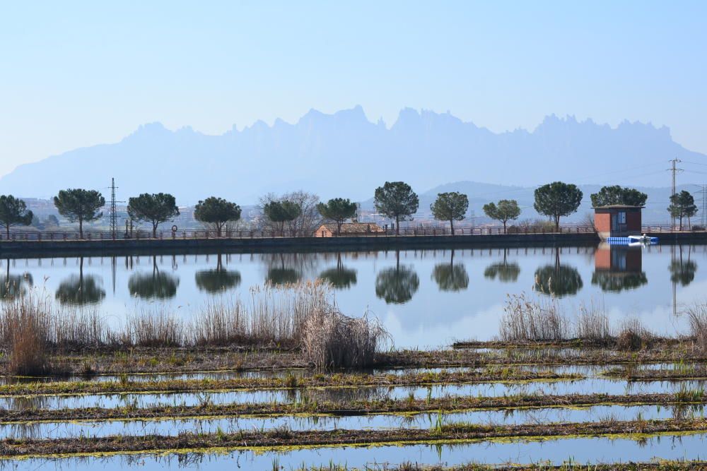 Simetria. Bonica imatge del Parc de l’Agulla (Manresa) i al fons, Montserrat, on les aigües quietes reflecteixen tot el que hi ha al voltant.