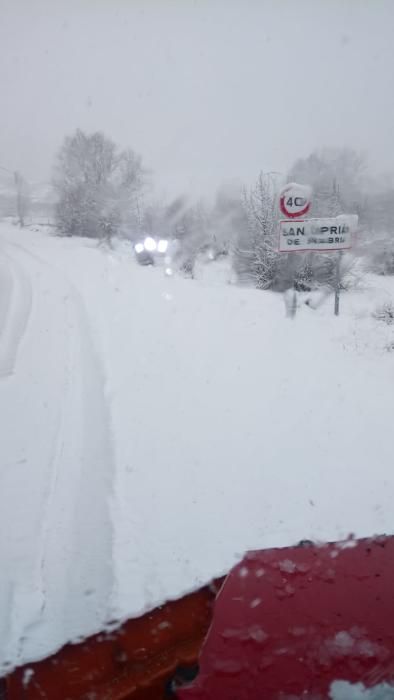 Efectos del temporal de nieve en Sanabria