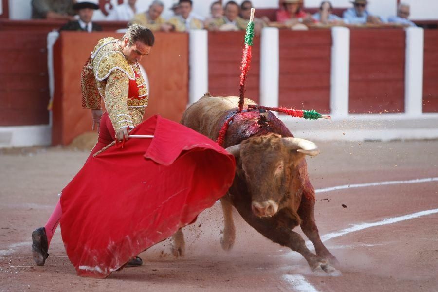 Toros en Zamora