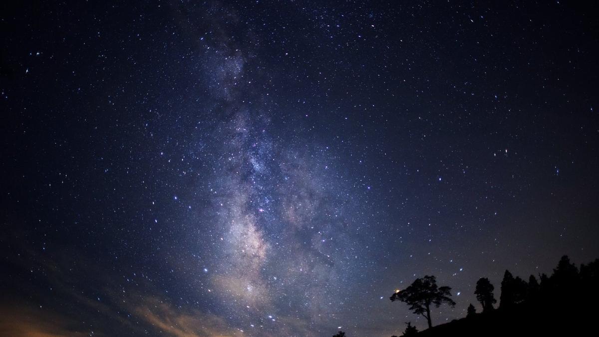 Lo último en astroturismo en Japón: observar las estrellas desde lo alto de la copa de un árbol