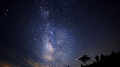 Lo último en astroturismo en Japón: observar las estrellas desde lo alto de la copa de un árbol