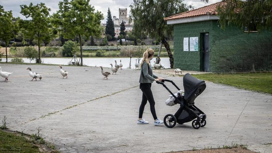 Gripe aviar en Badajoz: el alcalde solicita mantener la distancia con los patos del Parque del Río