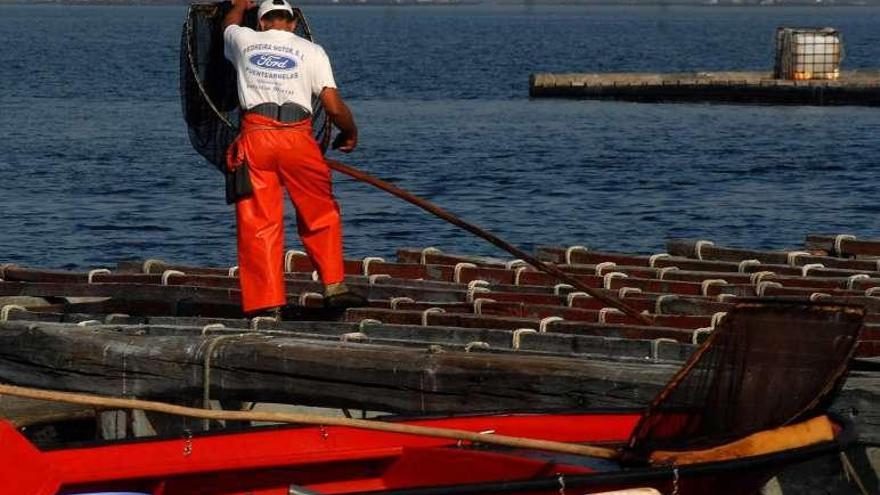 Un técnico trabaja en bateas de la ría de Arousa.