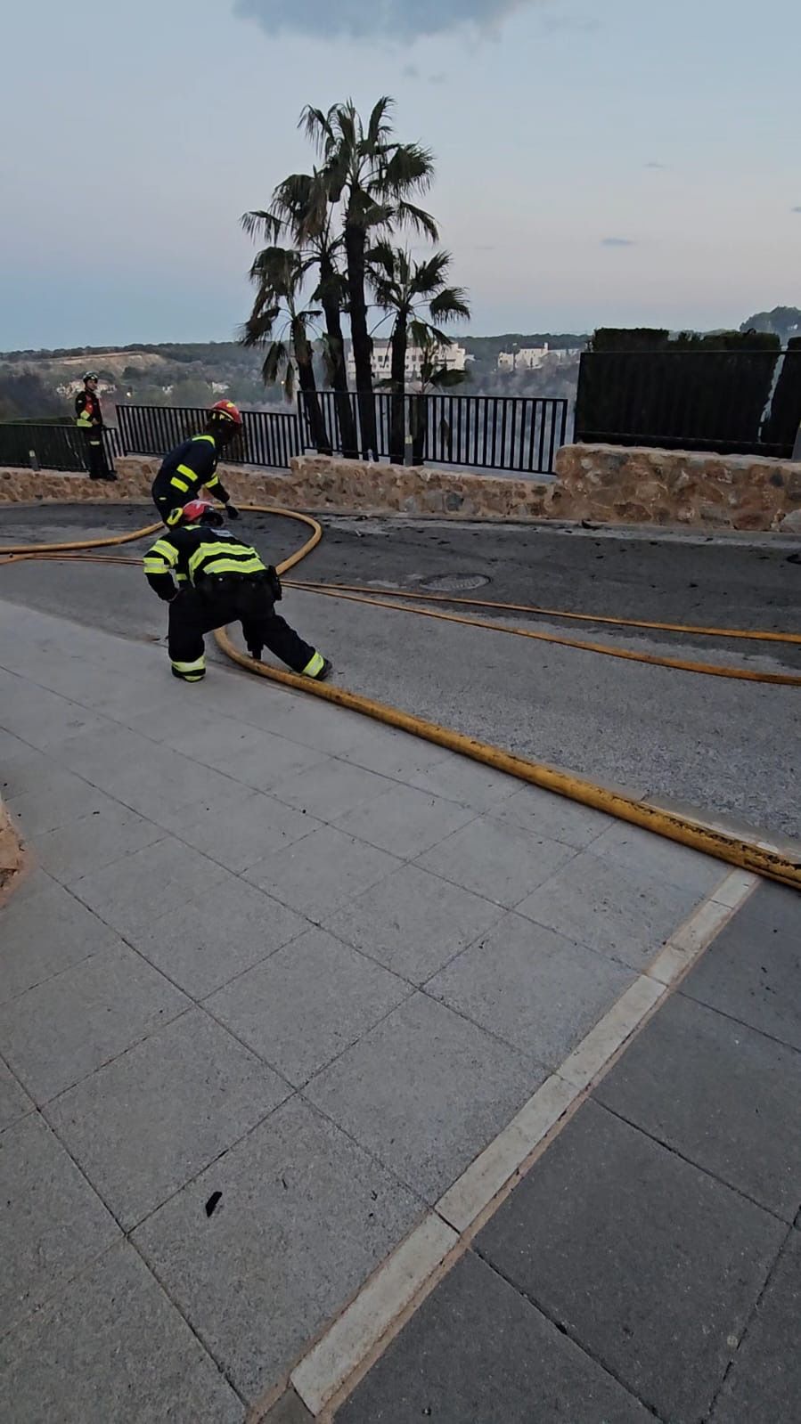 Las llamas del incendio en Orihuela Costa