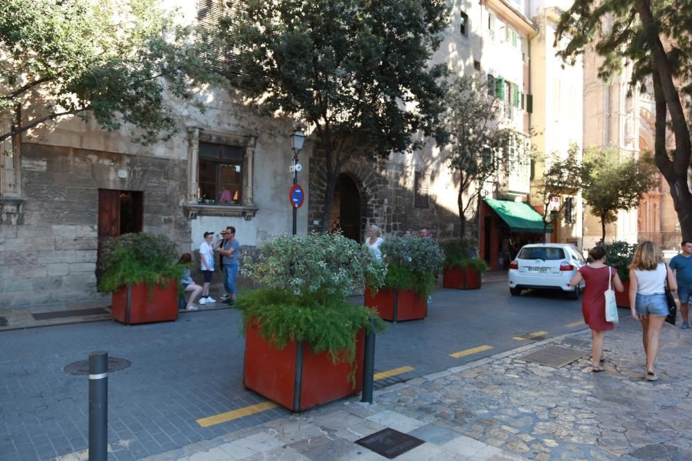 Colocación de barreras en la Platja de Palma