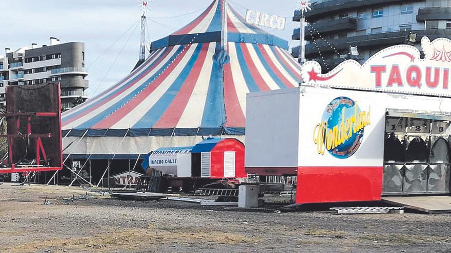 ¿Volverán los animales domados al circo?