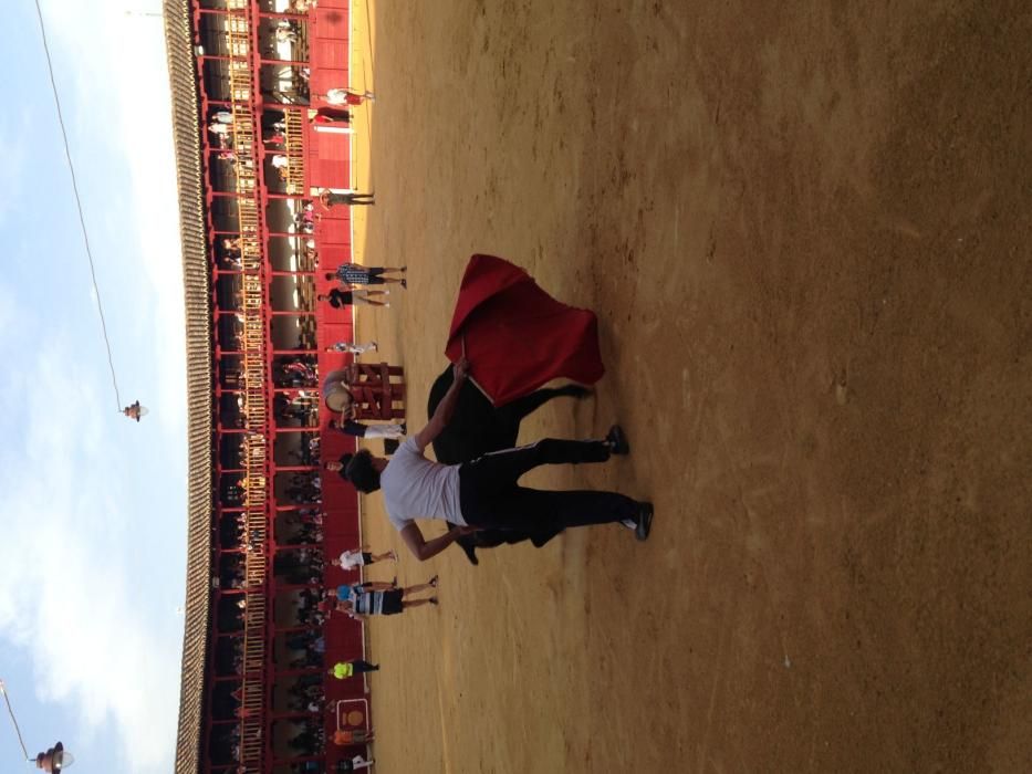 Fiestas Toro- concurso de jóvenes cortadores