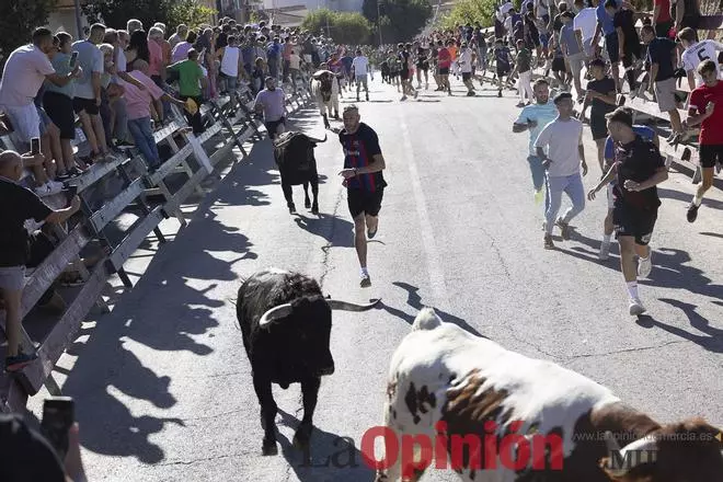 Así se ha vivido el primer encierro de las Feria Taurina del Arroz en Calasparra