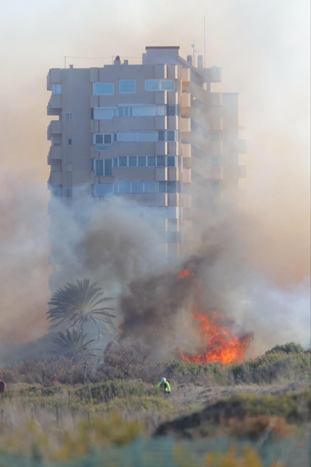 Declarado un incendio en el Saler