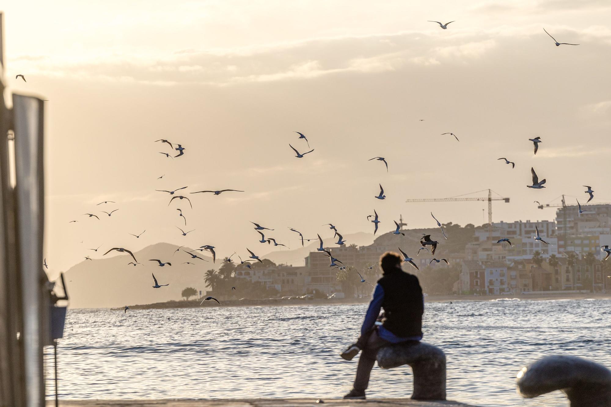 Pesca y Turismo en Villajoyosa