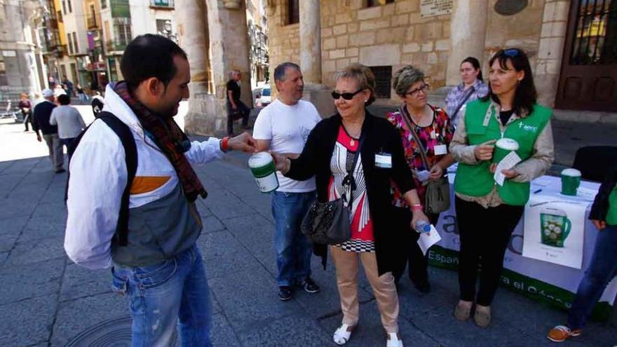 Recogida de fondos, el año pasado en la Plaza Mayor.