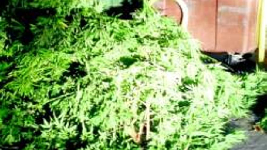 Dos detenidos con 60 kilos de marihuana