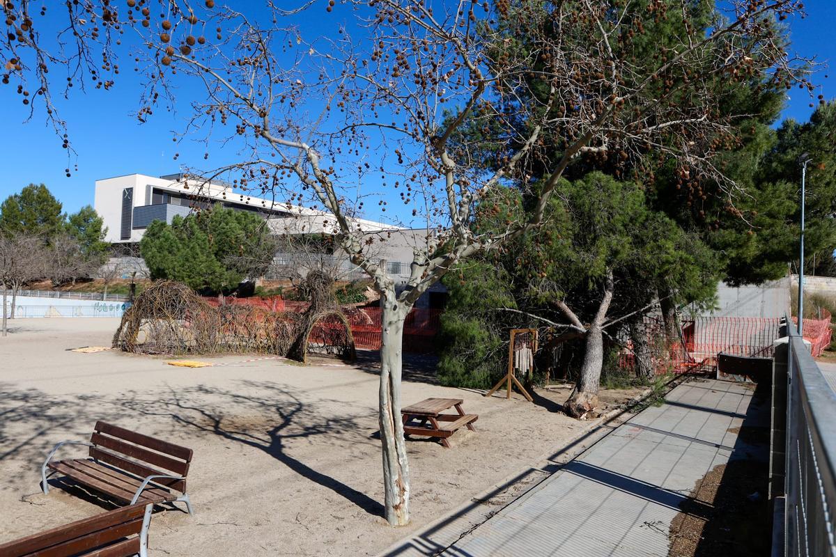 L'arbre ha caigut en una zona apartada del pati de l'escola Collbaix, prop d'una zona en obres