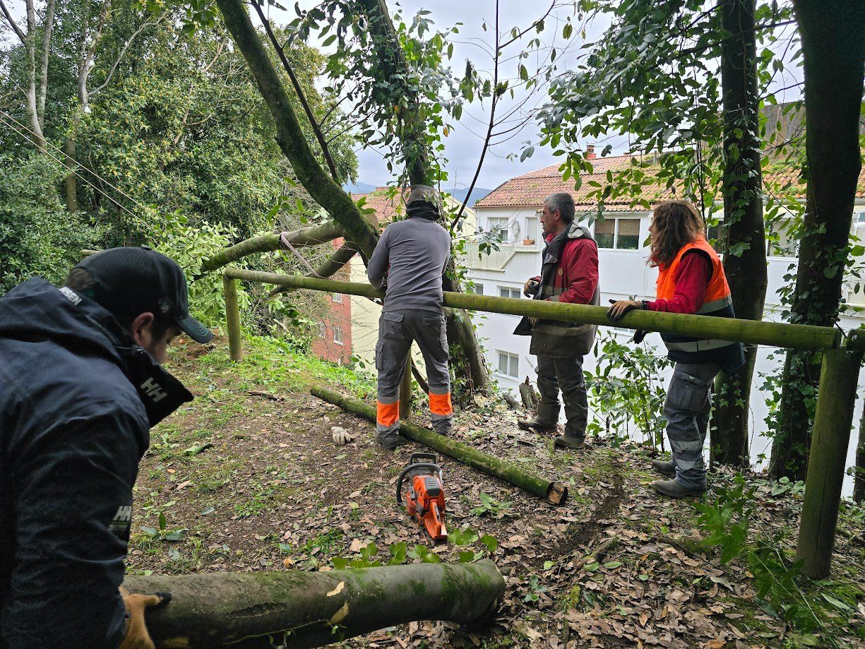 La tala de árboles en el Parque Valdés Bermejo para garantizar la seguridad ciudadana.