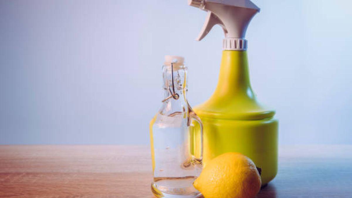 TRUCOS LIMPIAR VITROCERÁMICA: El sorprendente truco del limón que cambiará  tu vitrocerámica para siempre: así es cómo tienes que usarlo