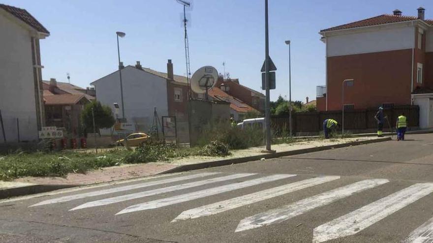 Peones municipales realizan trabajos en una acera. Foto L. O. Z.