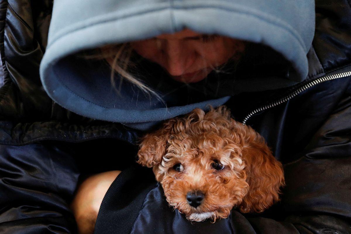 Una mujer abraza a su perro mientras descansan en la estación de tren de Zahony, en Hungría, tras abandonar Ucrania.