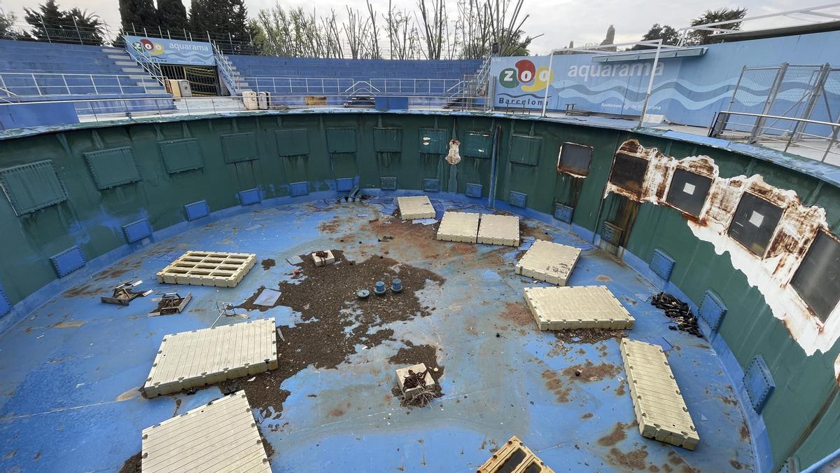 Aquarama del zoo de Barcelona en desuso que en otra �poca alberg� a cet�ceos como delfines y la orca Ulises y a leones marinos en la �ltima etapa Foto de Ferran Nadeu (4).JPG