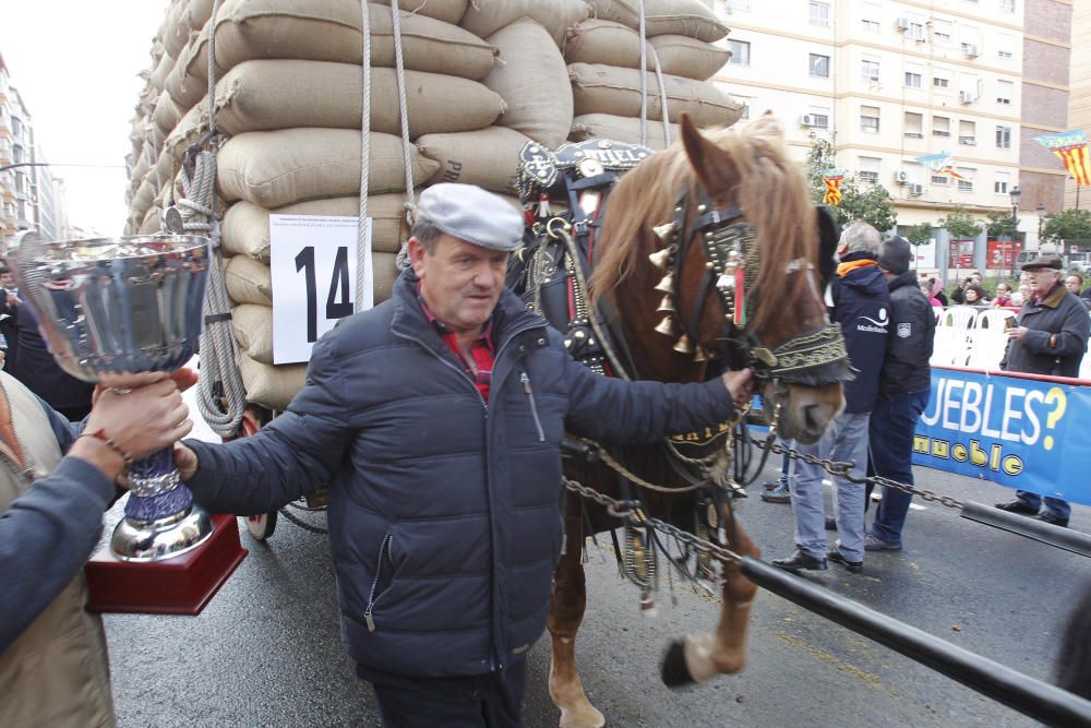 Sant Antoni en Valencia 2017