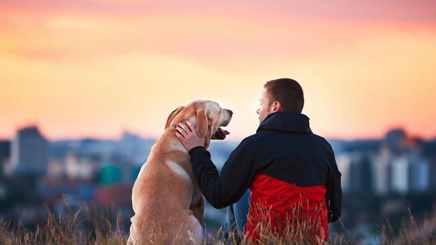 ¿Qué razas de perros viven más? Descubre cuáles son los canes más longevos