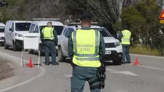 Cae una red de Málaga que comerciaba con aceitunas robadas en Córdoba y otras provincias