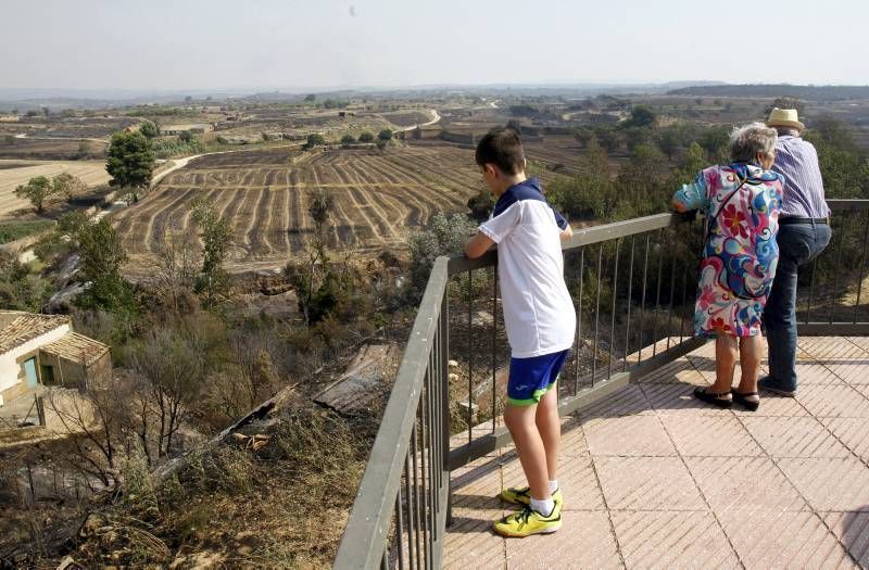 Fotogalería del incendio en el término de Luna en las Cinco Villas