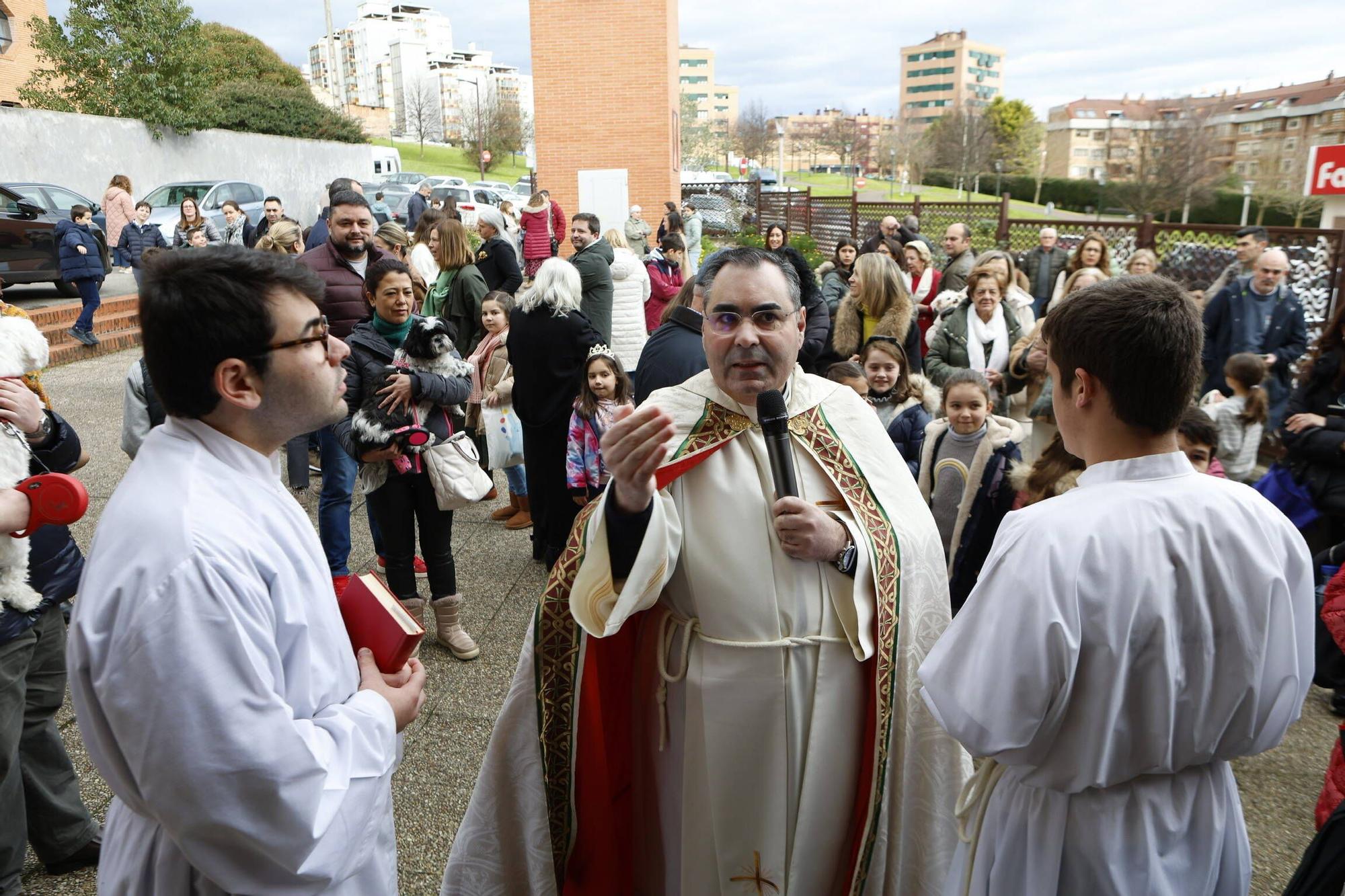 Bendición mascotas en Gijón en la parroquia de Viesques