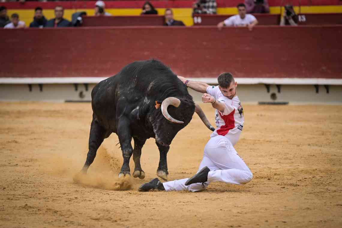 Así ha sido el Concurso Nacional de Recortadores de Castellón