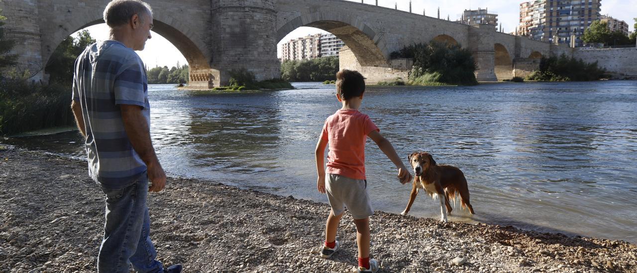 Aunque muy poca gente se atreva a meterse, muchos zaragozanos se acercan a las orillas del Ebro para jugar.