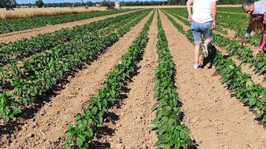 &quot;Planeta Agro: la voz del mundo rural&quot; se da cita en Zamora